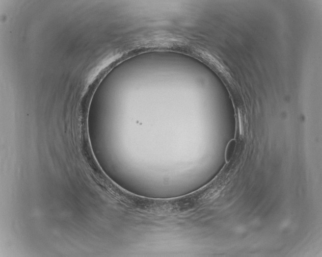 X0000075360675200609291501