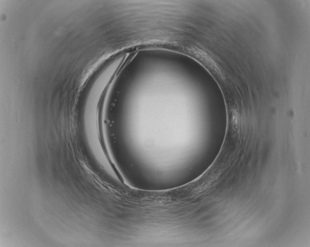 X0000075360676200609291501