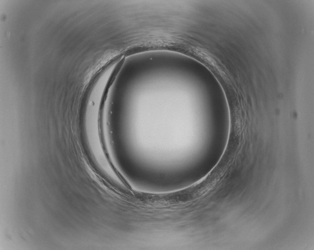 X0000075360677200609291501