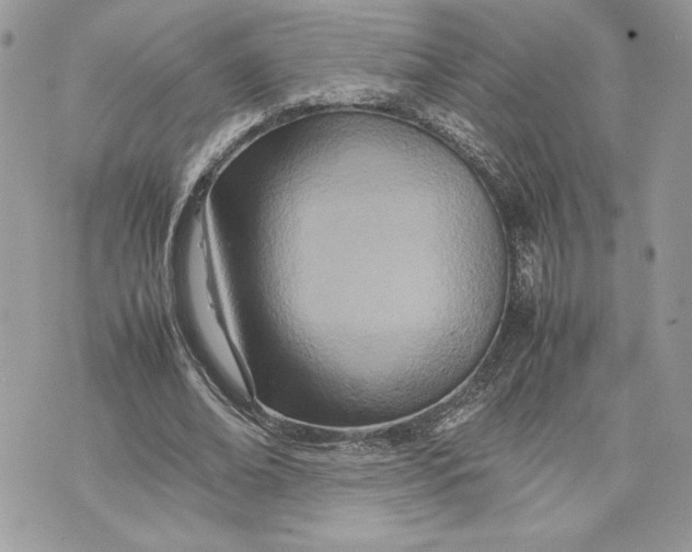 X0000075360678200609291501