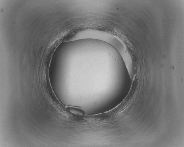 X0000075360681200609291501