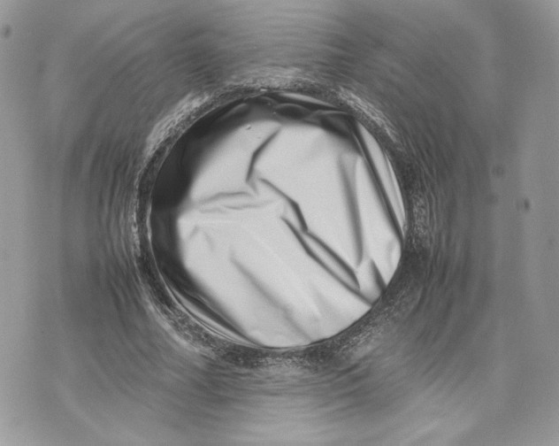 X0000075360682200609291501