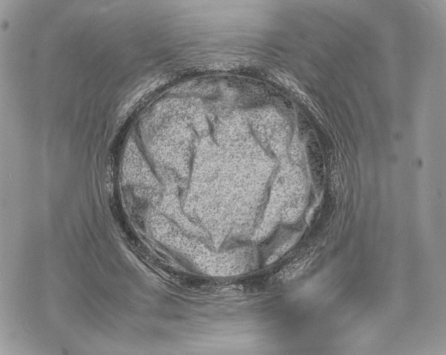 X0000075360683200609291501