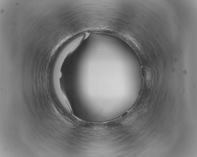 X0000075360684200609291501