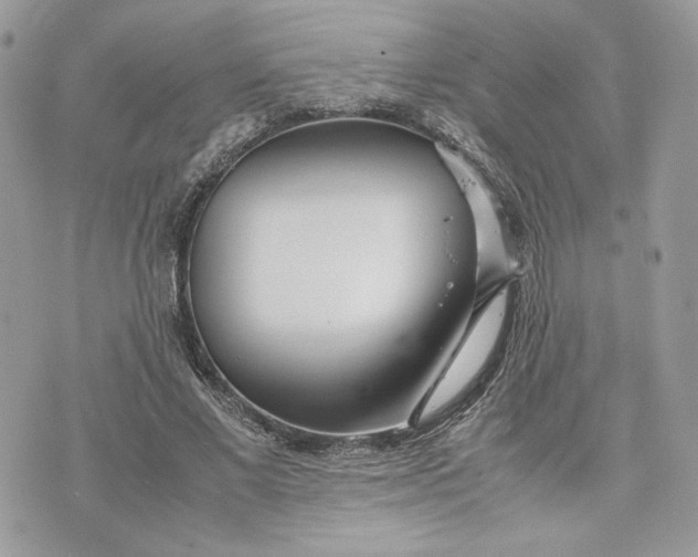 X0000075360685200609291501