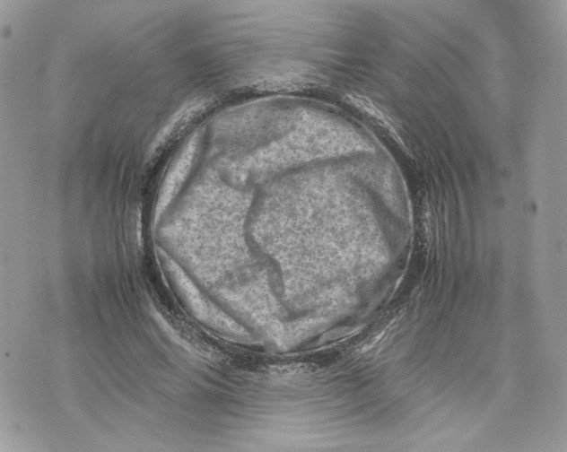 X0000075360686200609291501