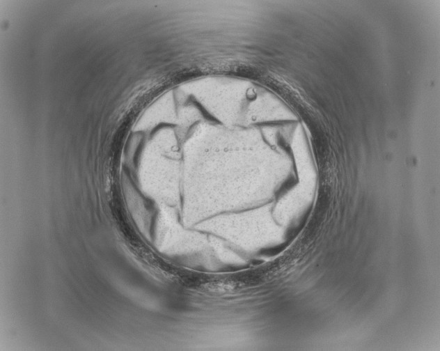 X0000075360687200609291501