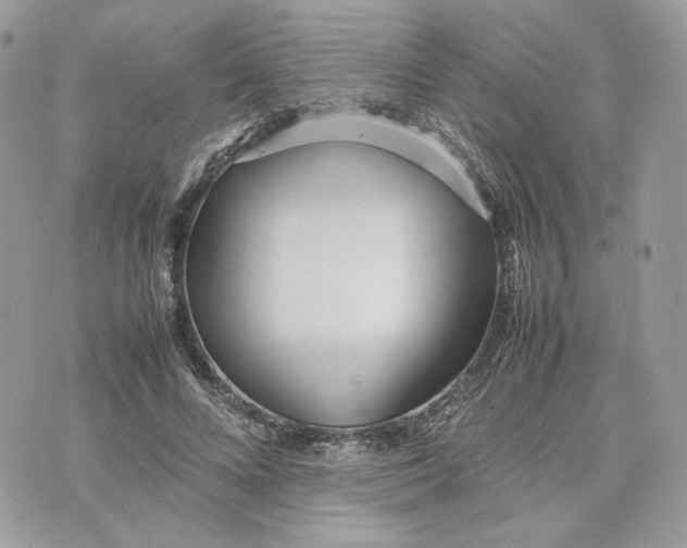 X0000075360688200609291501