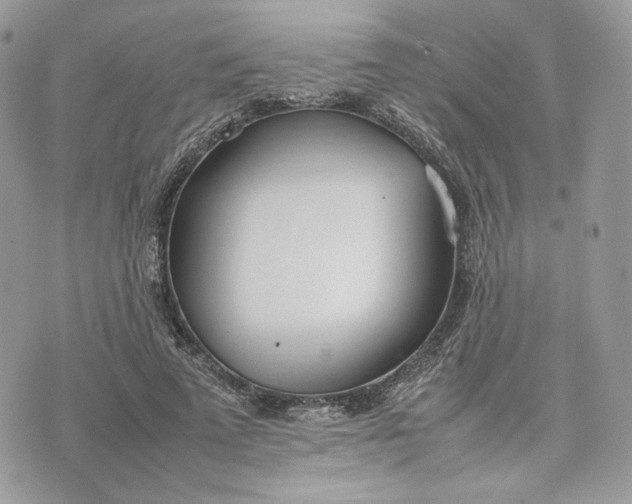 X0000075360689200609291501