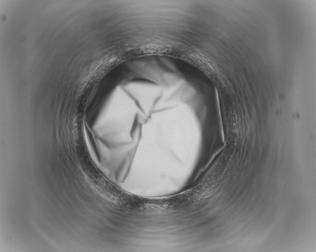 X0000075360690200609291501