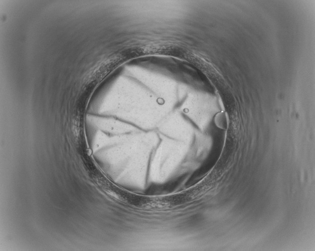 X0000075360691200609291501