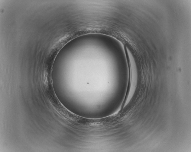 X0000075360692200609291501