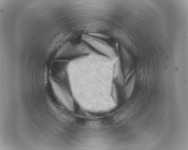 X0000075360694200609291501