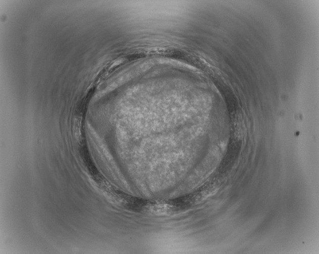 X0000075360695200609291501