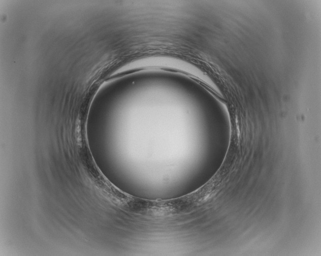 X0000075360696200609291501