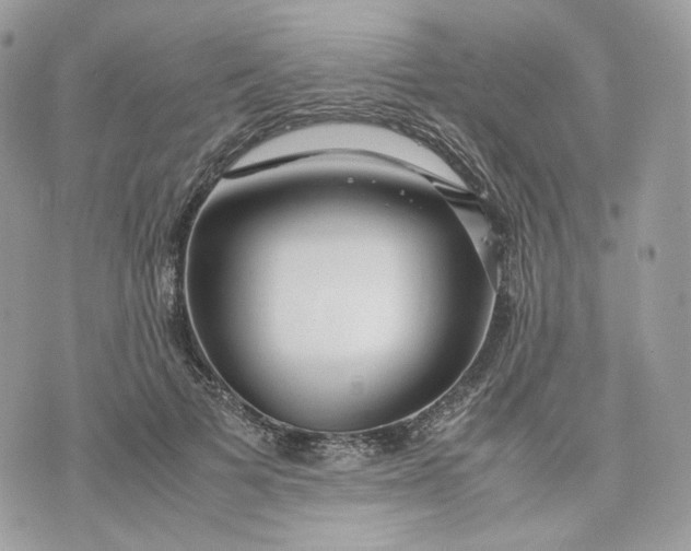 X0000075360697200609291501