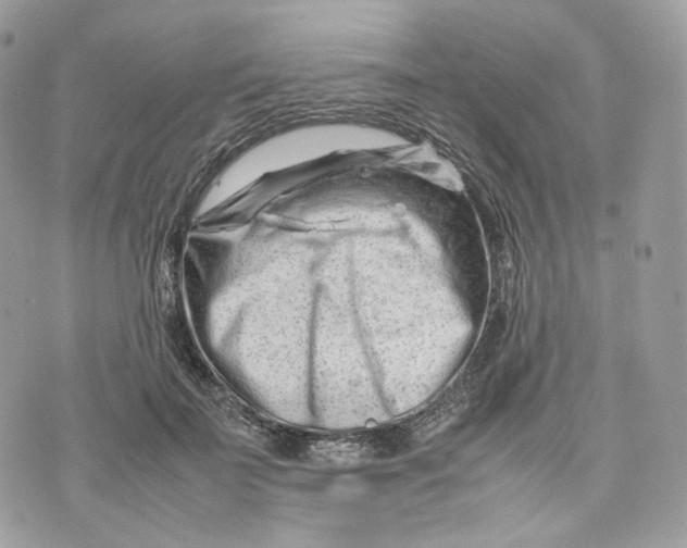 X0000075360699200609291501