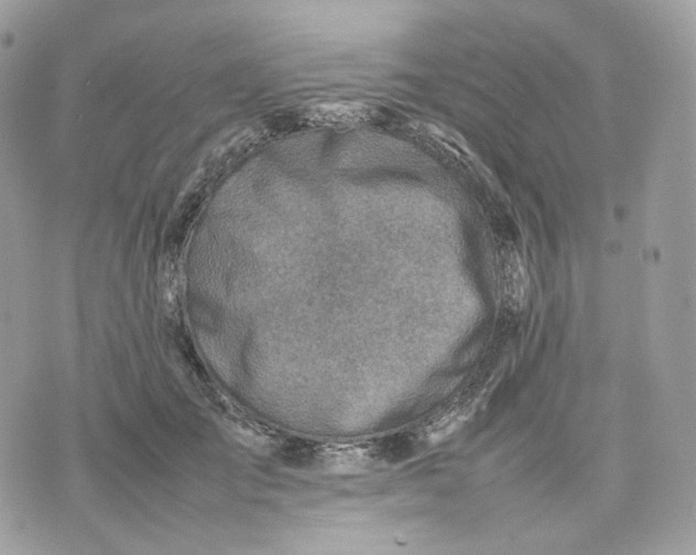 X0000075360701200609291501