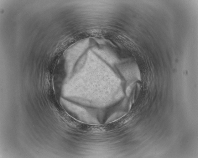 X0000075360702200609291501