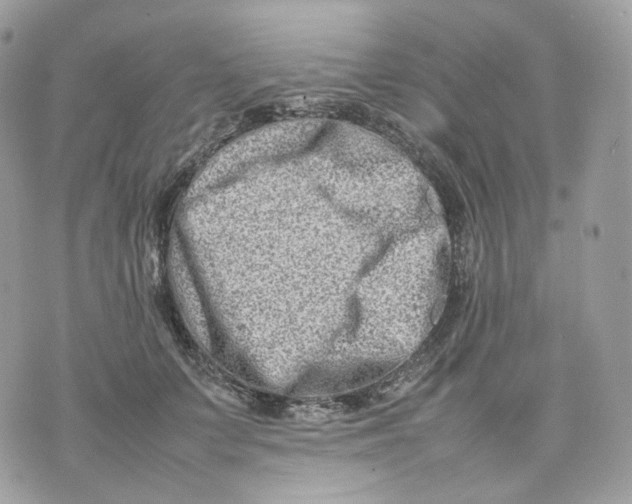 X0000075360703200609291501