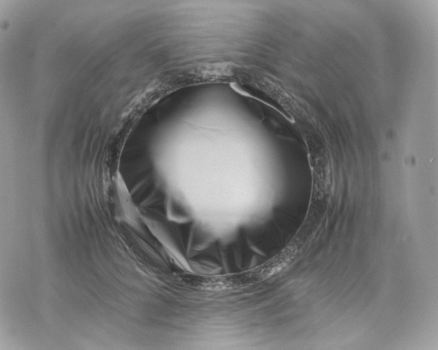 X0000075360704200609291501