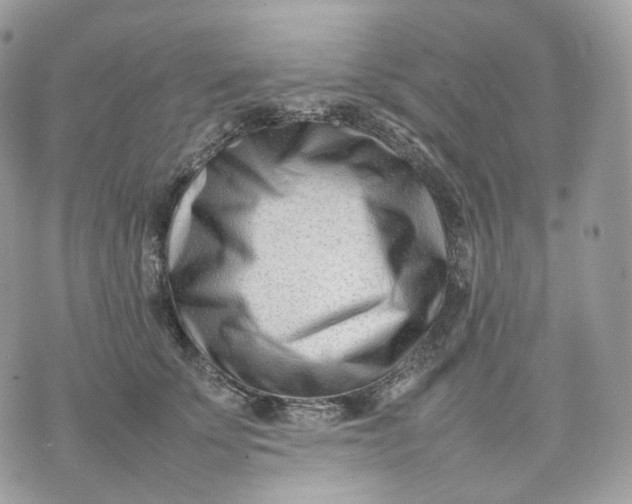 X0000075360707200609291501