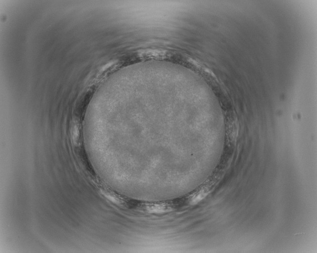 X0000075360709200609291501