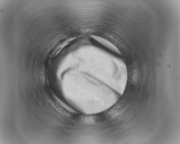 X0000075360710200609291501