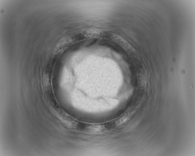 X0000075360711200609291501