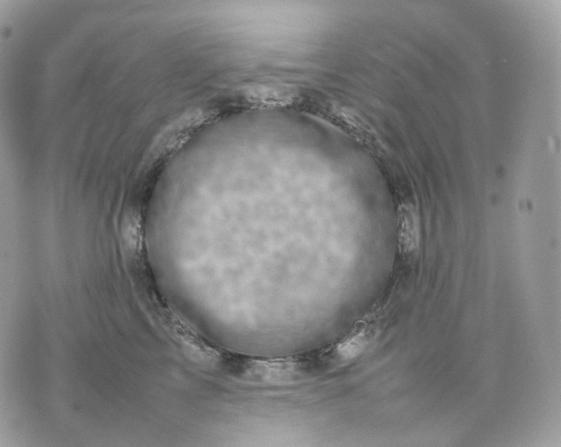 X0000075360713200609291501