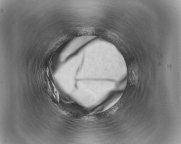 X0000075360714200609291501