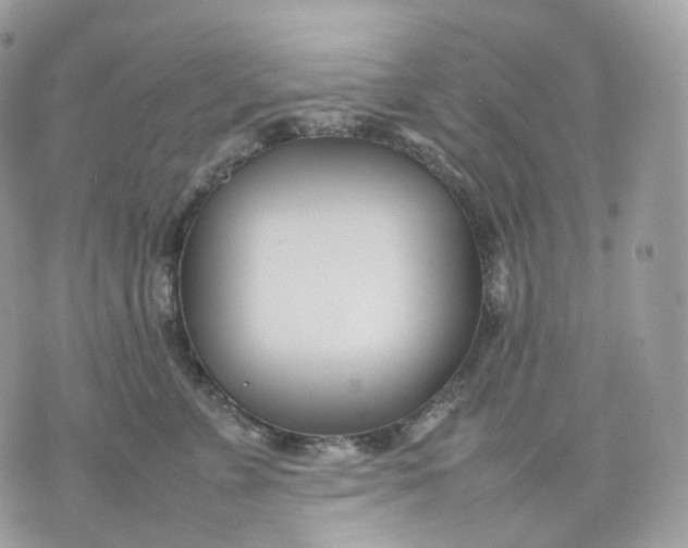 X0000075360715200609291501