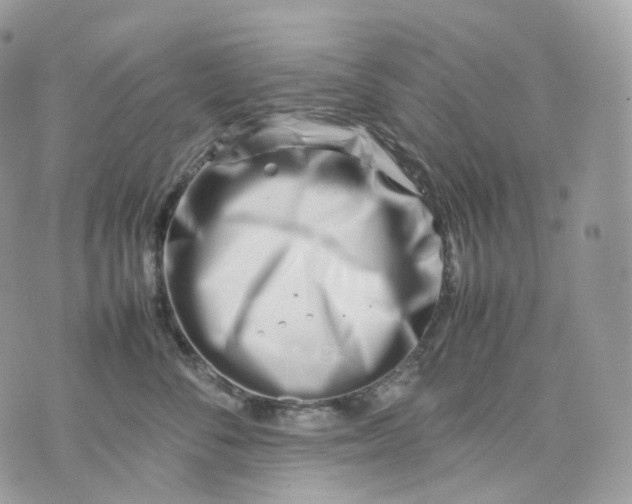 X0000075360716200609291501