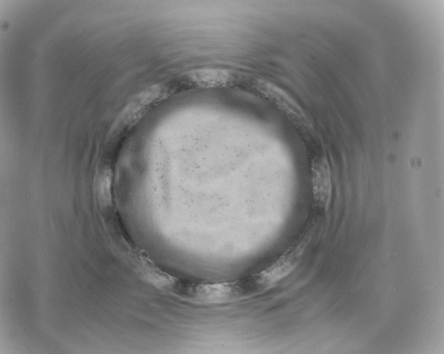 X0000075360717200609291501