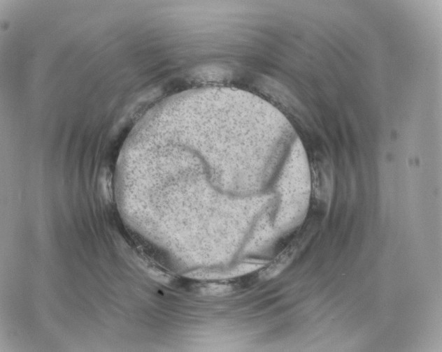 X0000075360718200609291501