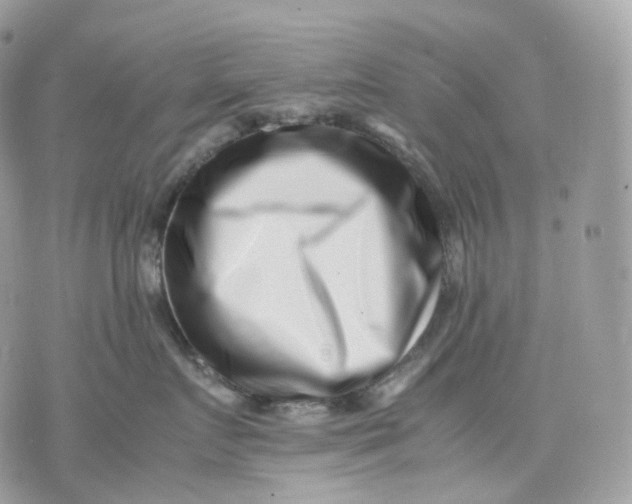 X0000075360719200609291501