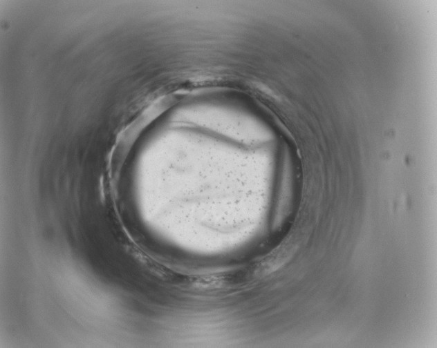 X0000075360720200609291501