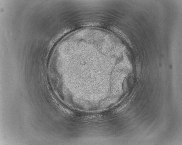 X0000075360721200609291500