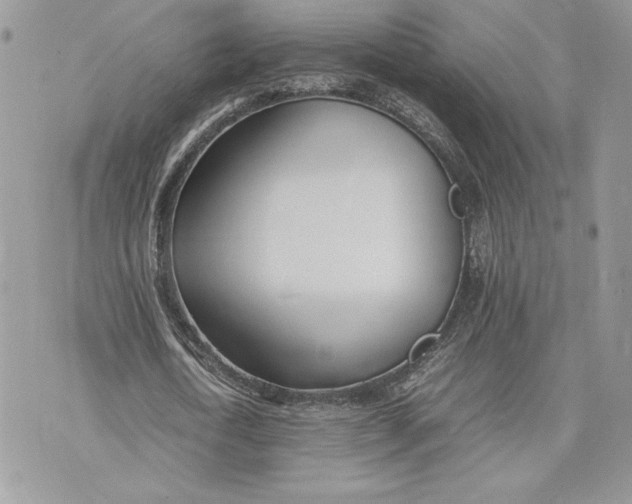 X0000075360722200609291500