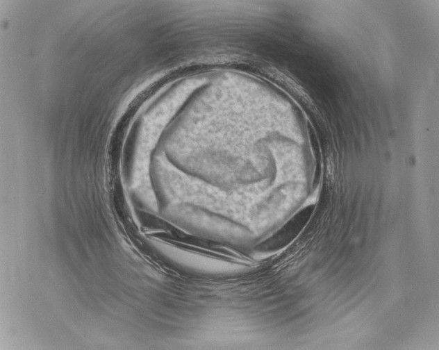 X0000075360724200609291500