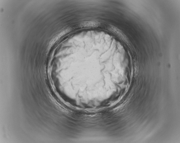 X0000075360725200609291500