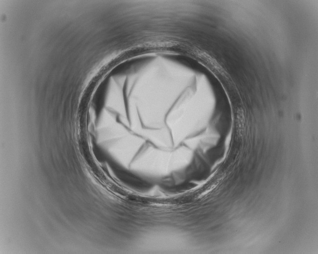 X0000075360726200609291500