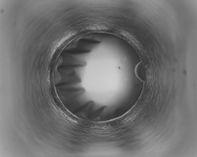 X0000075360727200609291500