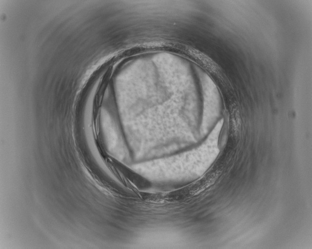 X0000075360728200609291500