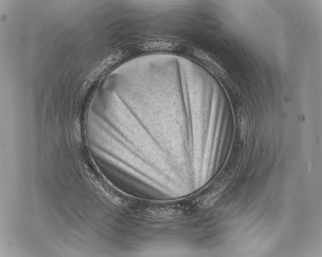 X0000075360729200609291500