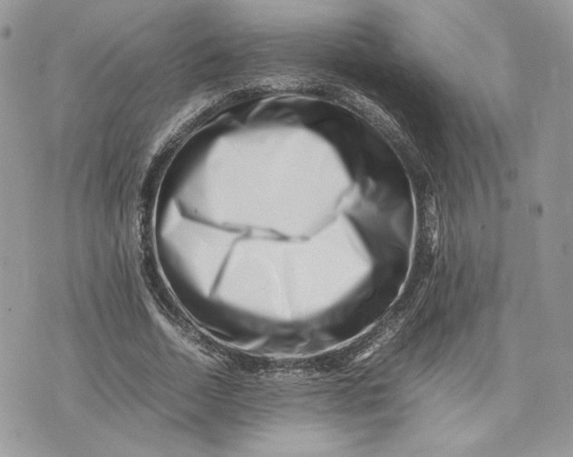 X0000075360730200609291500