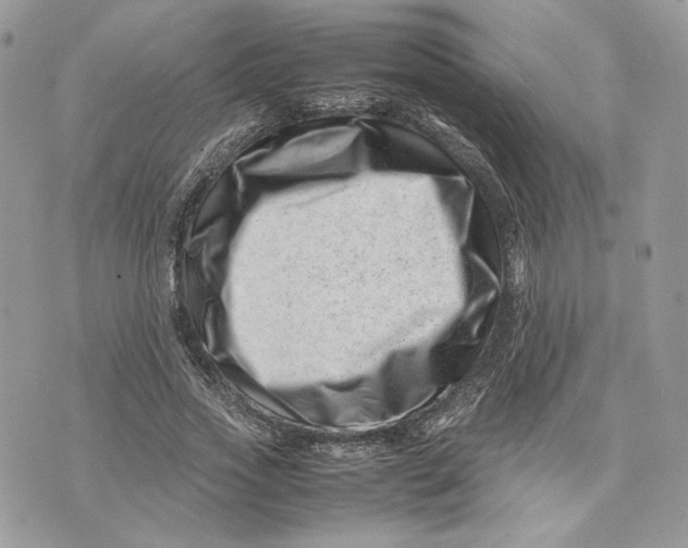 X0000075360733200609291500