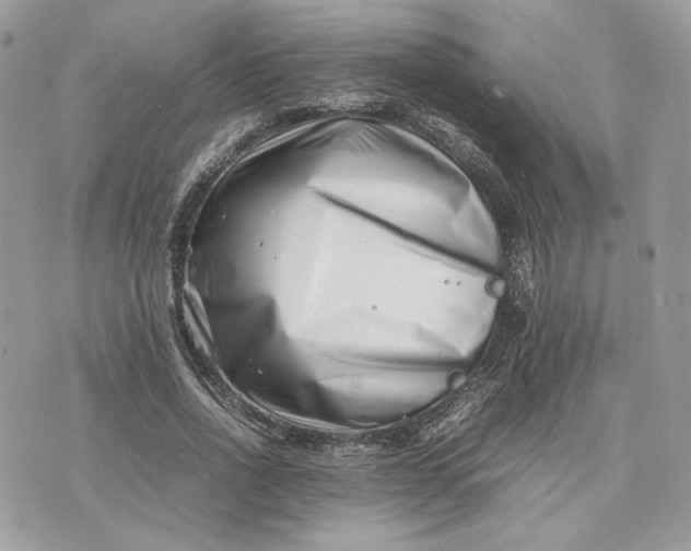 X0000075360734200609291500