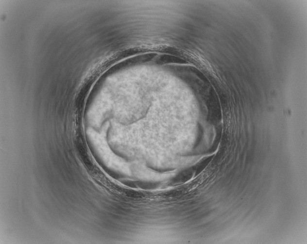 X0000075360736200609291500