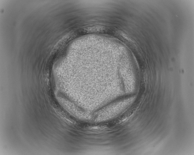 X0000075360737200609291500